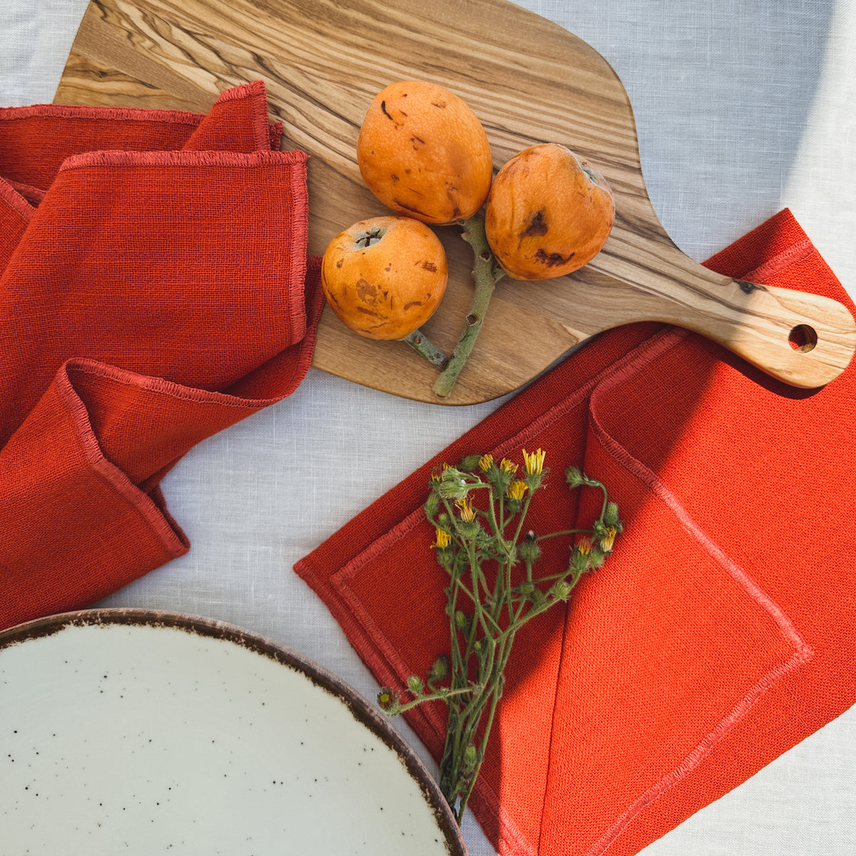 Terracotta Napkin Set