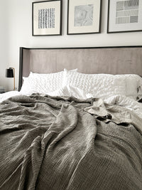 Charcoal Silver Gray Reversible Blanket with Fringes