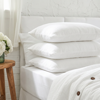 Organic Cotton Pillowcase Set of 2 in Various Colors