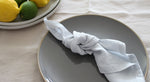 Light Gray Linen Napkins, Set of 4 or Single Napkin